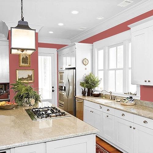 Sienna Red PPG1057-6