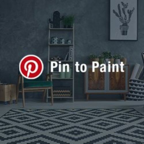 Pin to Paint